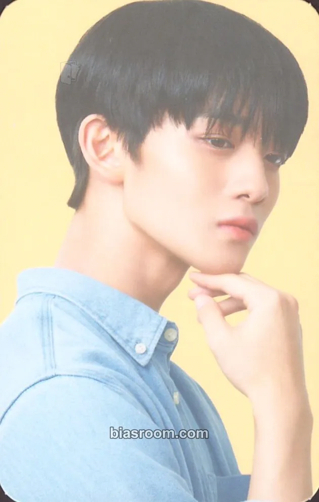 Jinyoung Teddy Island x Me Todo Photocard - Bae Jinyoung - Bae Jinyoung K-pop photocard