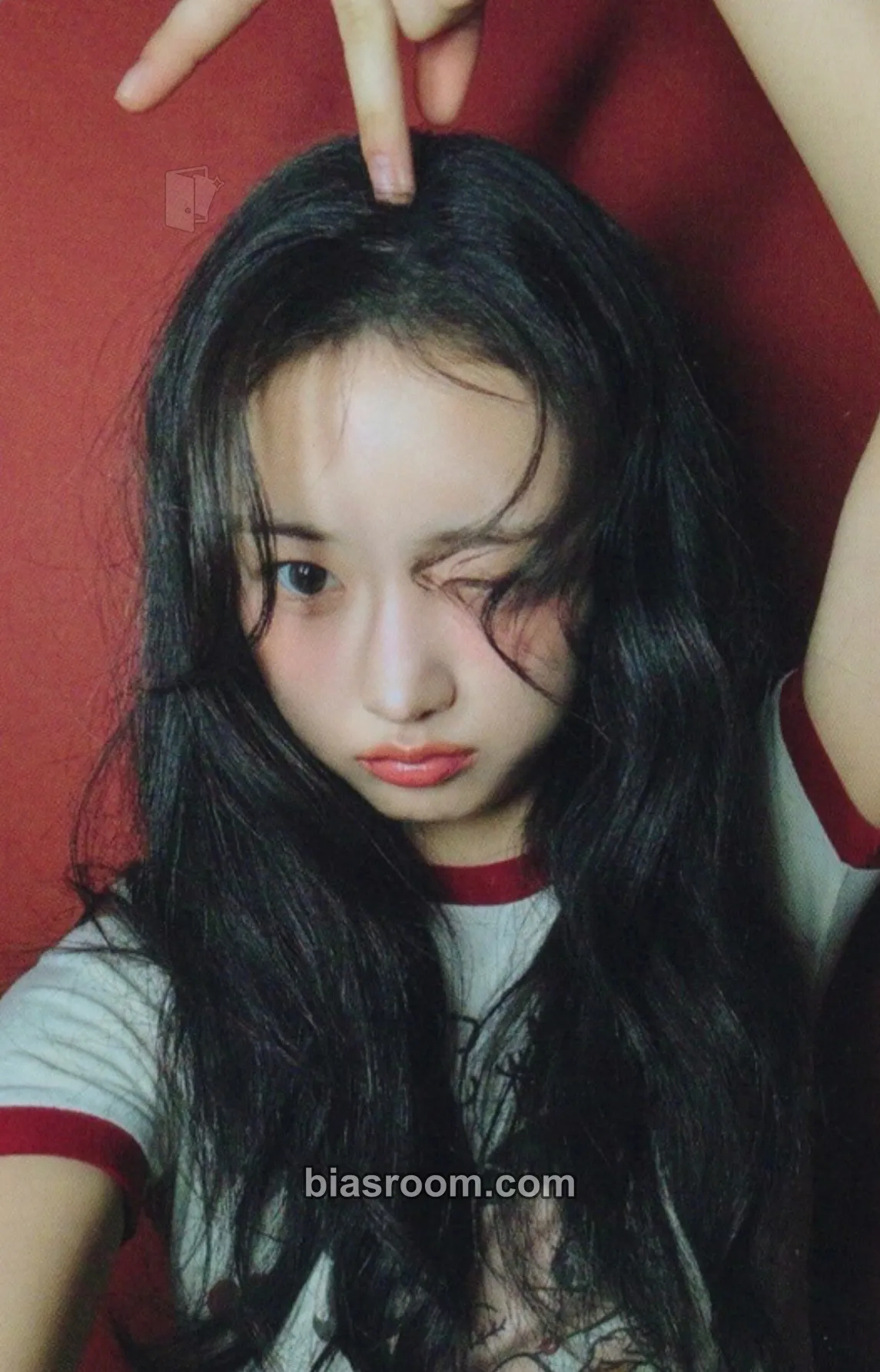Seohee Things we love: H Photocard - HITGS - HITGS K-pop photocard