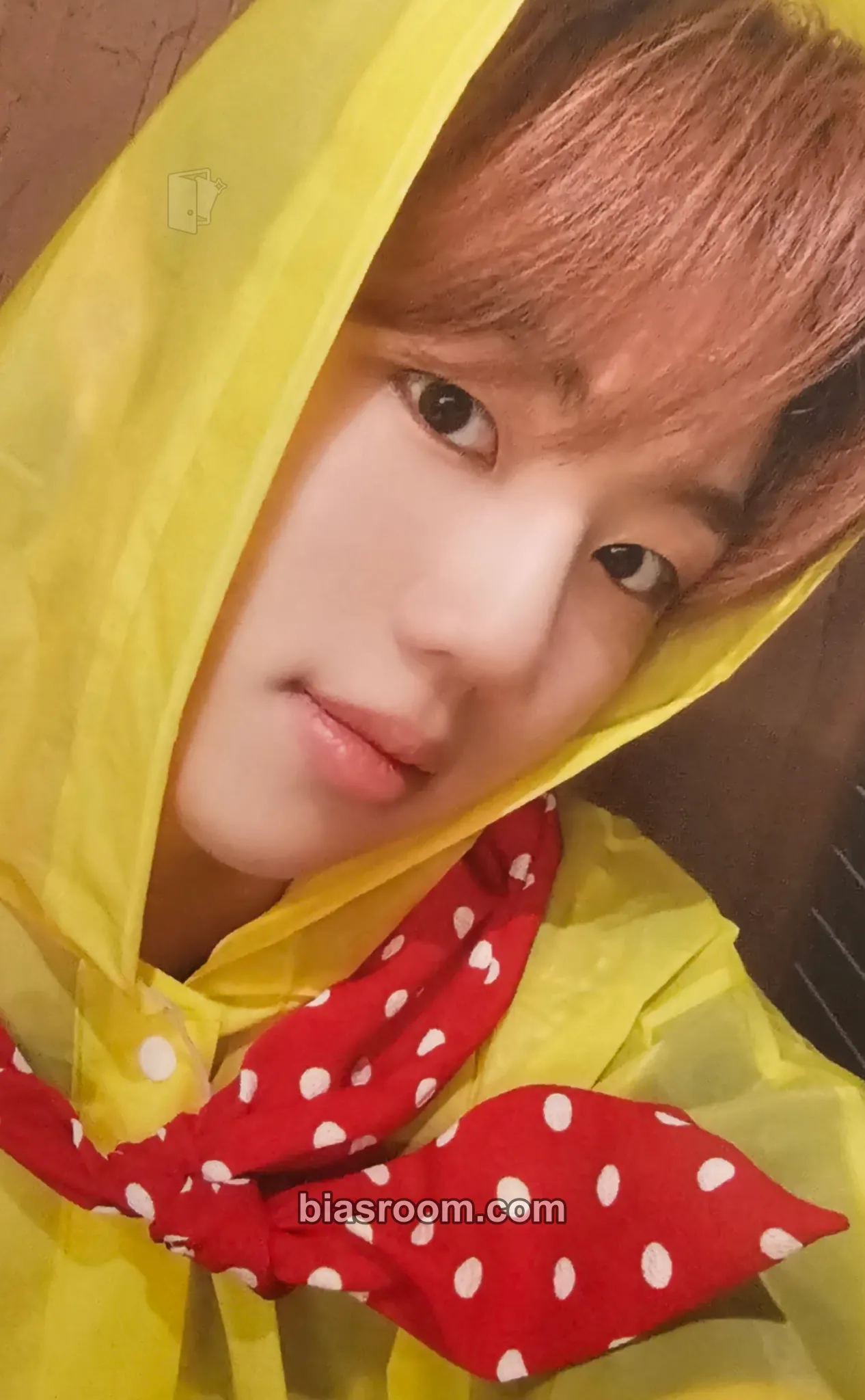 Park Jihoo Un: SEEN Photocard - EVNNE - EVNNE K-pop photocard