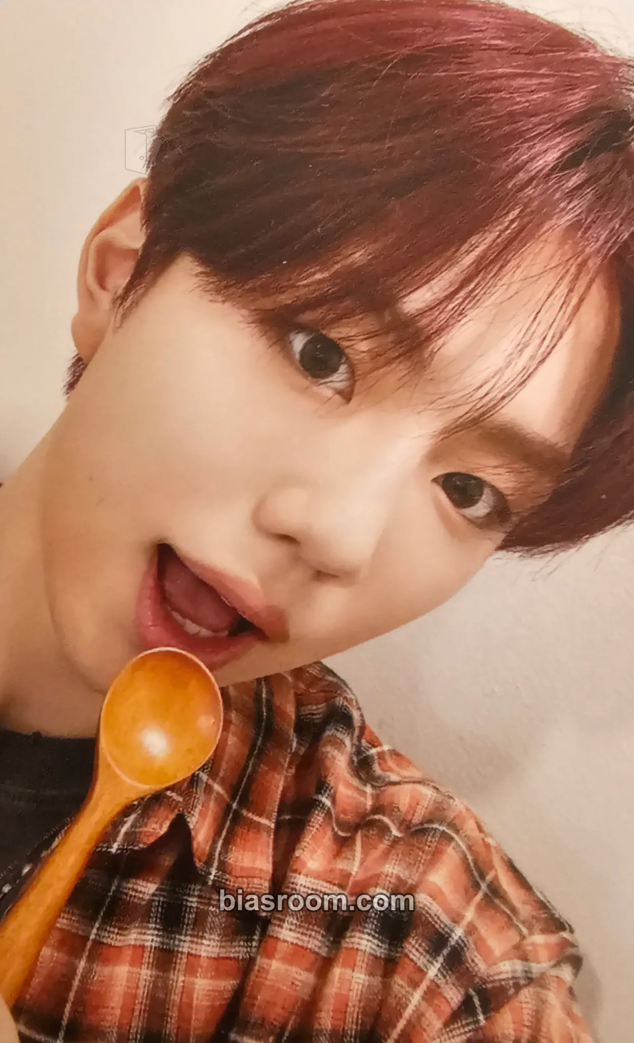Park Jihoo Un: SEEN Photocard - EVNNE - EVNNE K-pop photocard