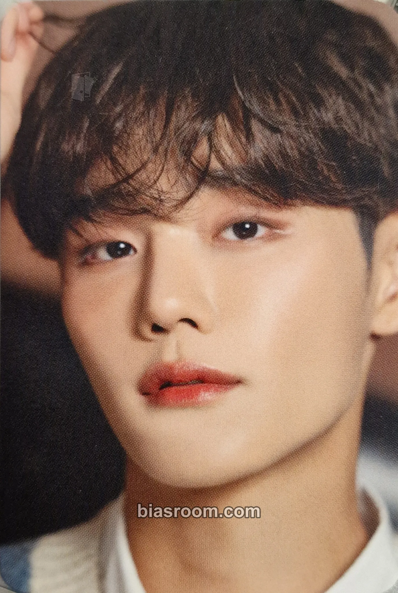 Seunghun B.D.U 2025 Seasons Greetings Photocard - B.D.U - B.D.U K-pop photocard