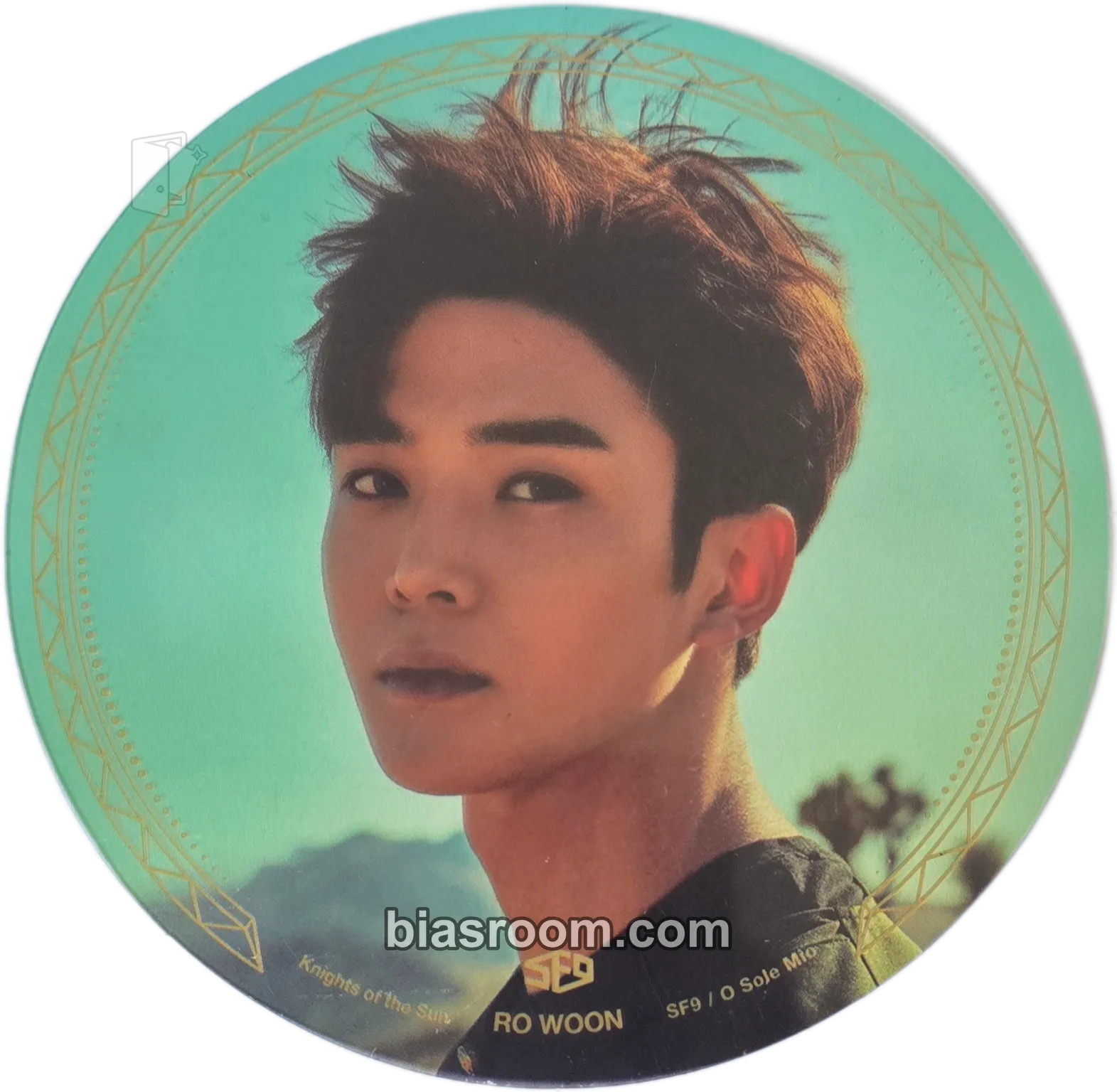 Rowoon Knights of the Sun Photocard - SF9 - SF9 K-pop photocard