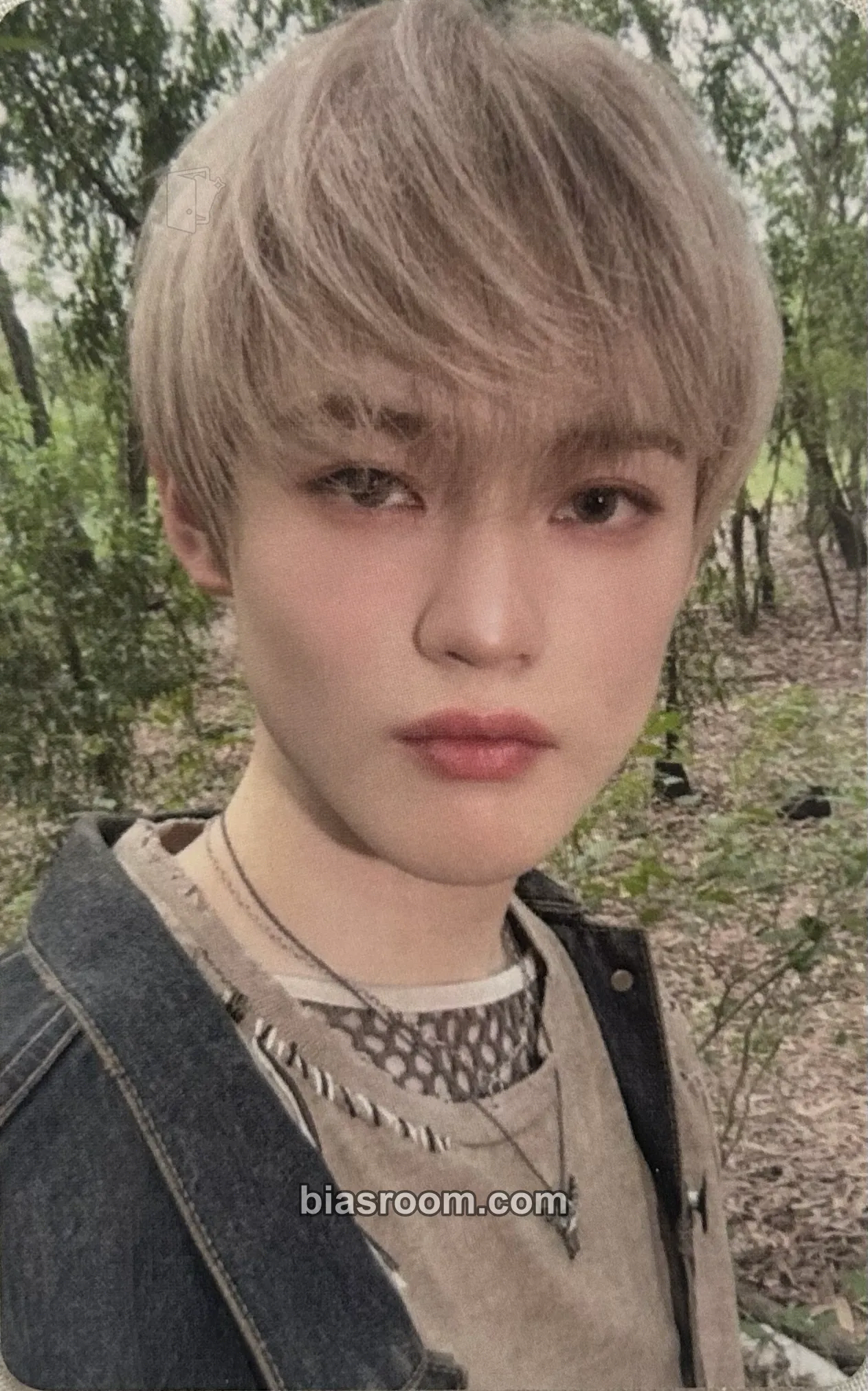 Chenle Dreamscape Photocard - NCT DREAM - NCT DREAM K-pop photocard