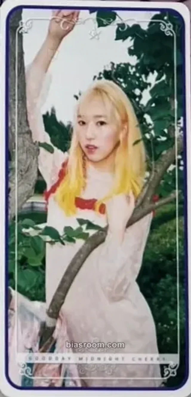 GOOD DAY - Liv - All Day Good Day Album album photocard non-standard size