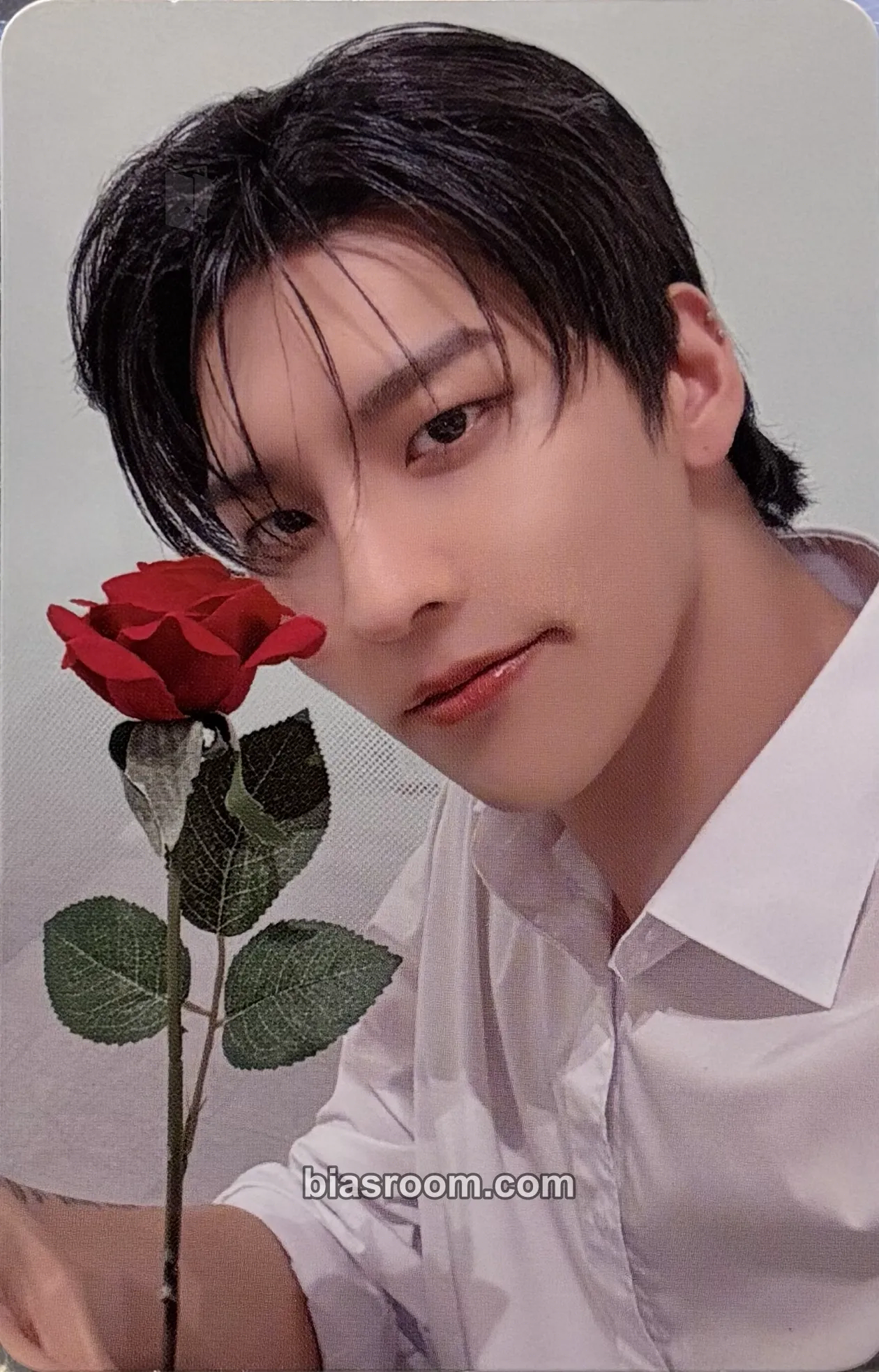 Gon CAPTURE THE FLAG Photocard - VANNER - VANNER K-pop photocard