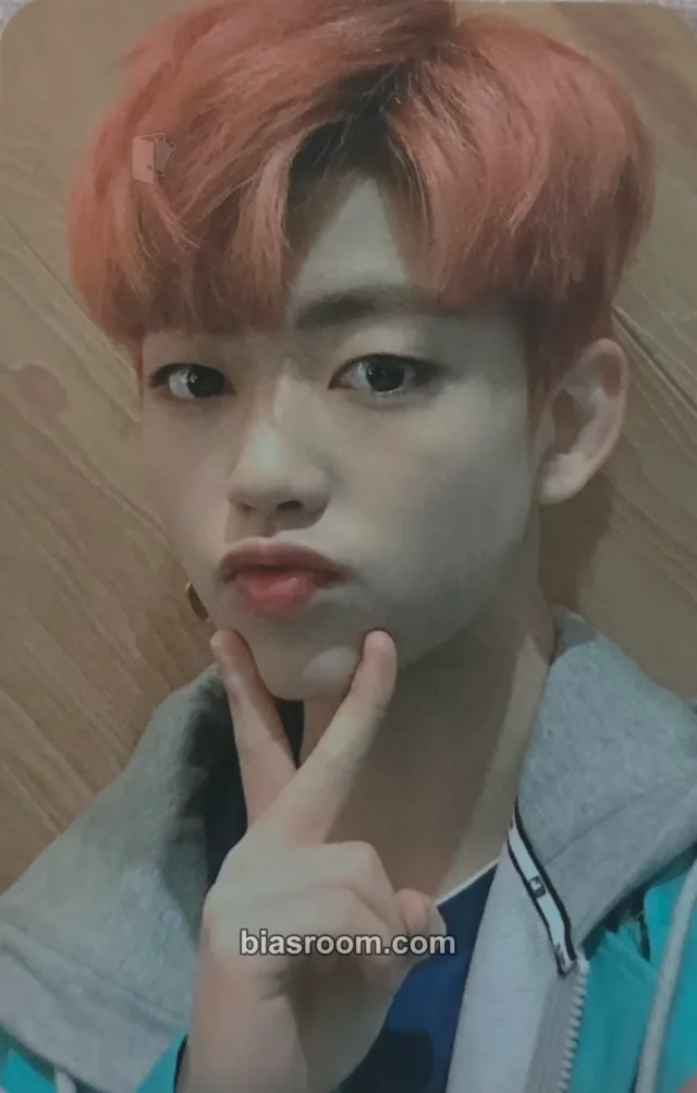 1the9 - Jinsung - XIX Album album photocard