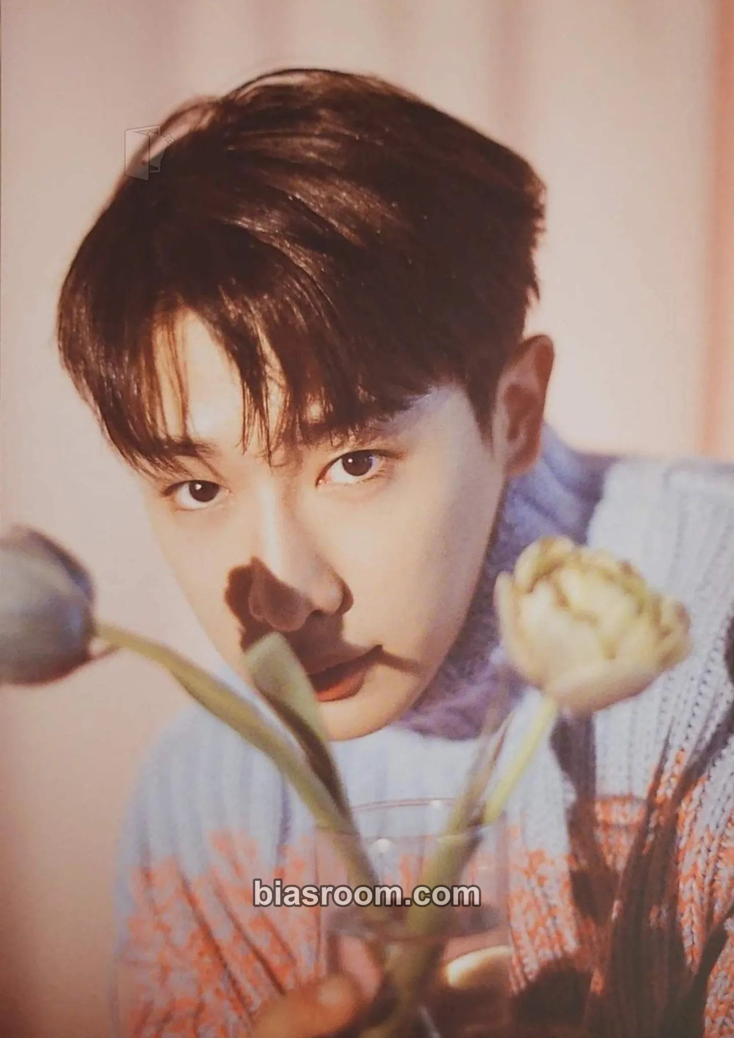 Wonho Obsession Photocard - Wonho K-pop photocard