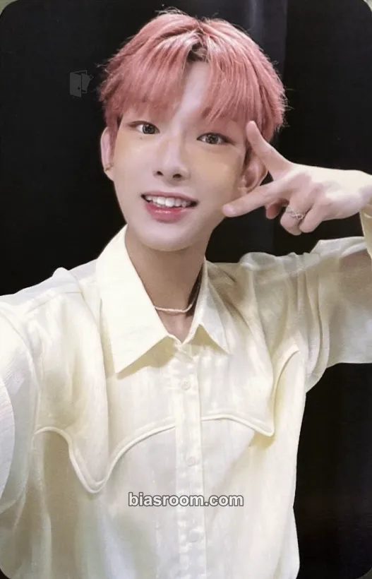 AHOF STEVEN LUMINOUS トレカ Steven Photocards (AHOF) | Bias Room