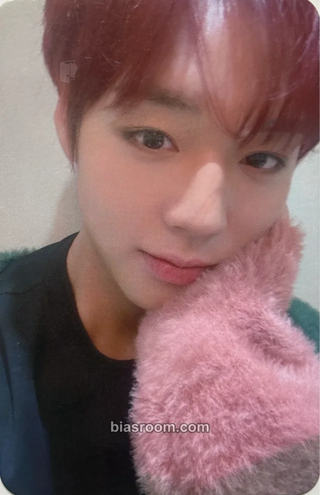 Park Jihoon - Jihoon - The answer Album pob (pre-order benefit) dear my muse (dmm)