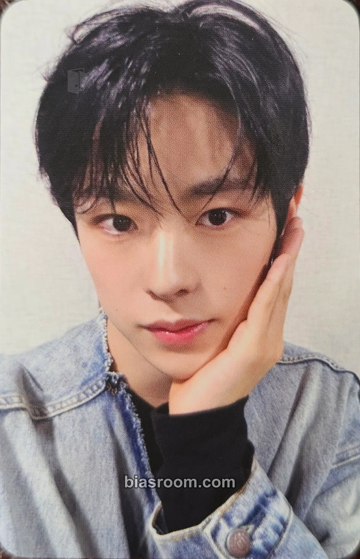 Yushi Steady Photocard - NCT WISH - NCT WISH K-pop photocard