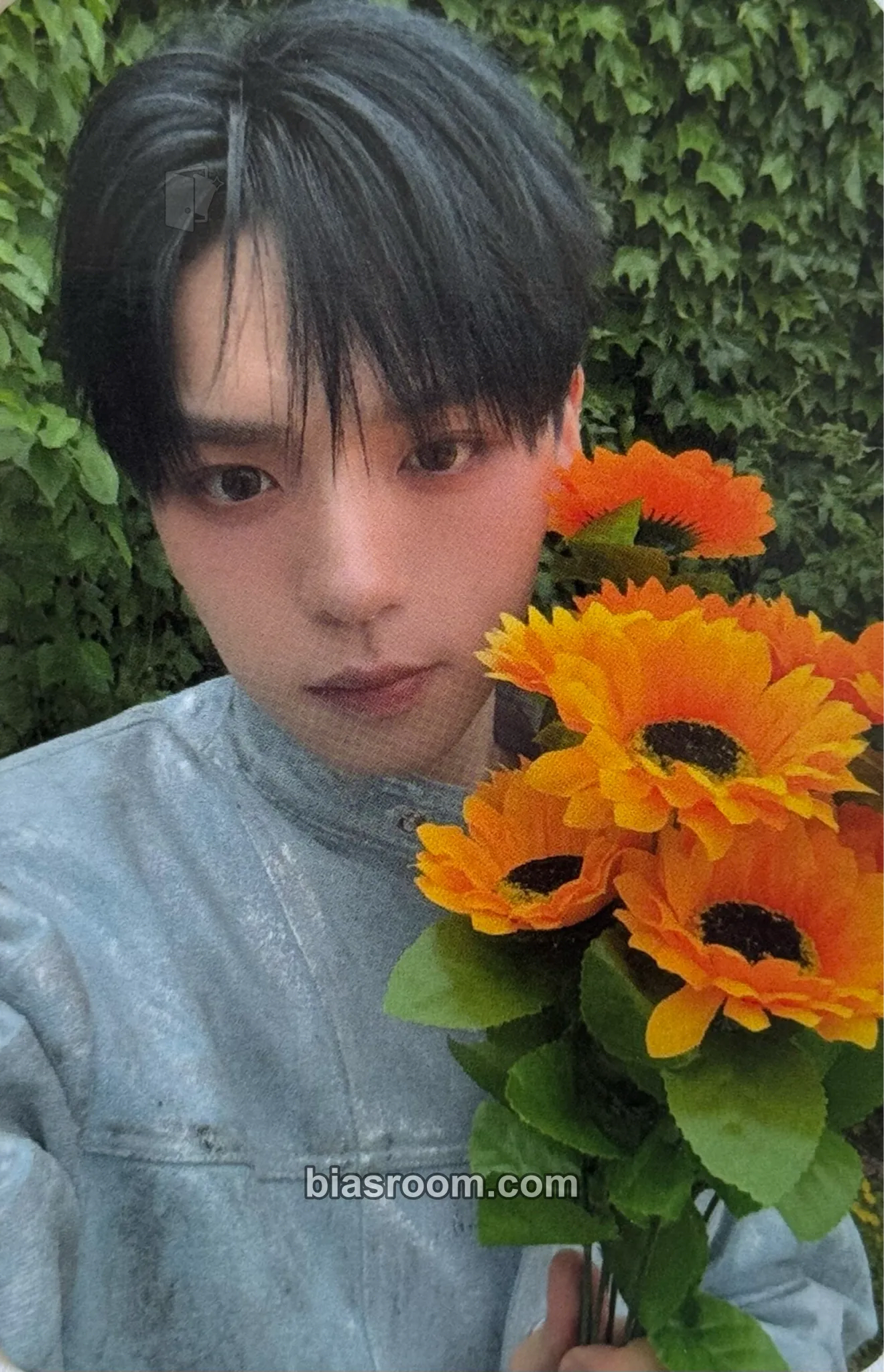 Hyunjun n: number of cases Photocard - NouerA - NouerA K-pop photocard