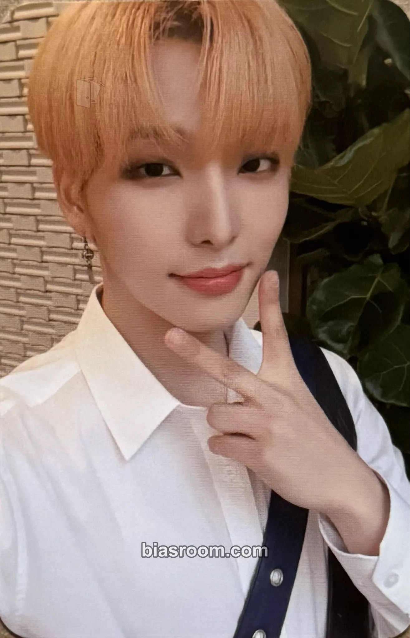 Seoho LIVED Photocard - ONEUS - ONEUS K-pop photocard