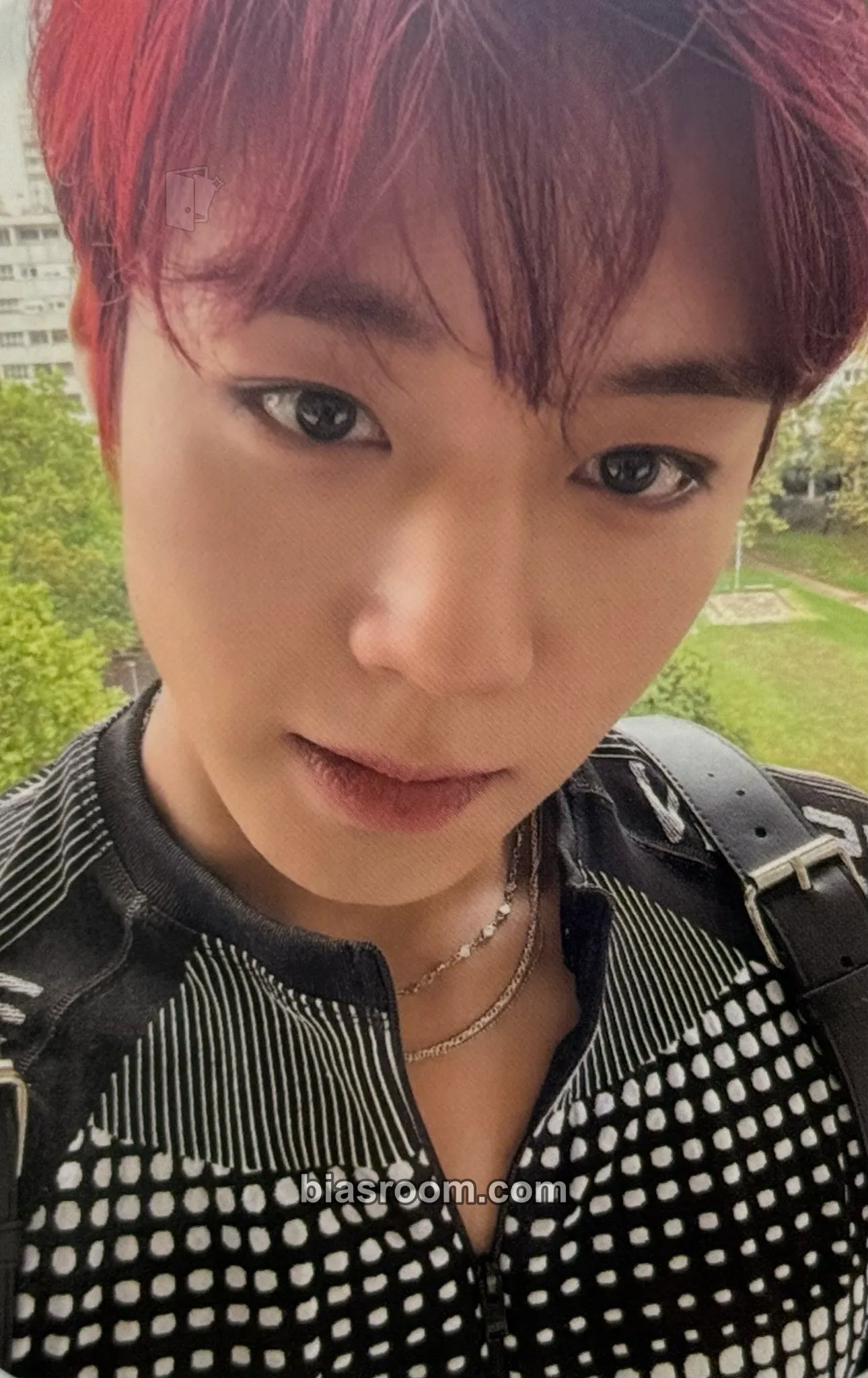 Jihoon The answer Photocard - Park Jihoon - Park Jihoon K-pop photocard