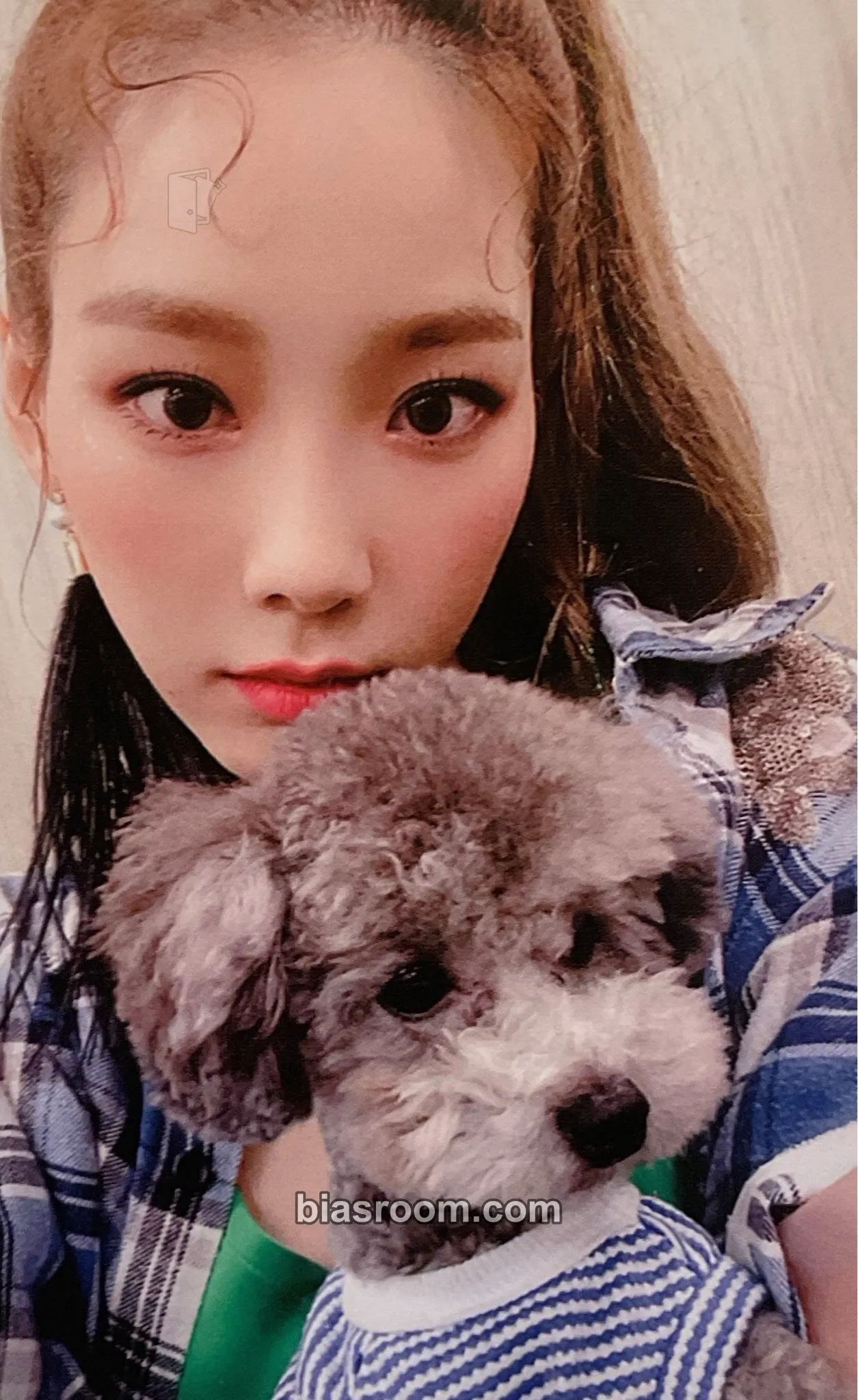 Taeyeon PURPOSE Photocard - Taeyeon K-pop photocard