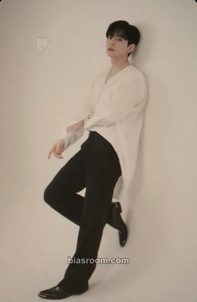 BOYFRIEND - Donghyun - Canvas Other photocard set photobook inclusion