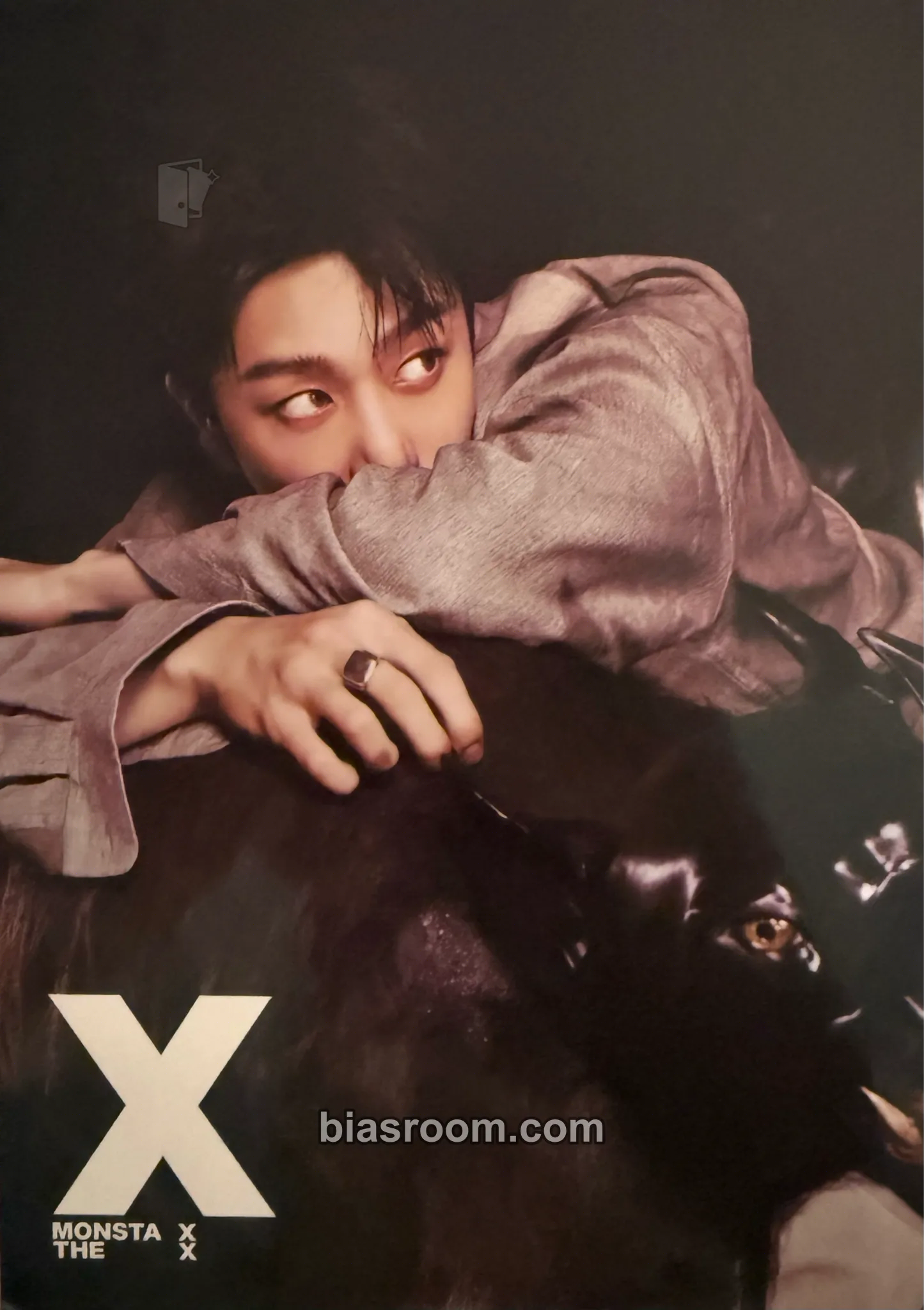 Hyungwon THE X Photocard - MONSTA X - MONSTA X K-pop photocard
