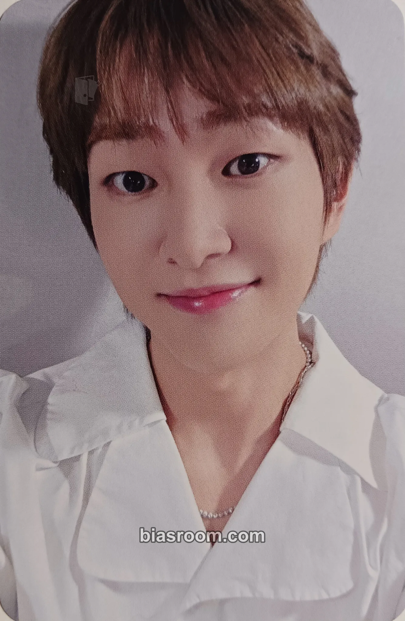 Onew PERCENT Photocard - SHINee - SHINee K-pop photocard
