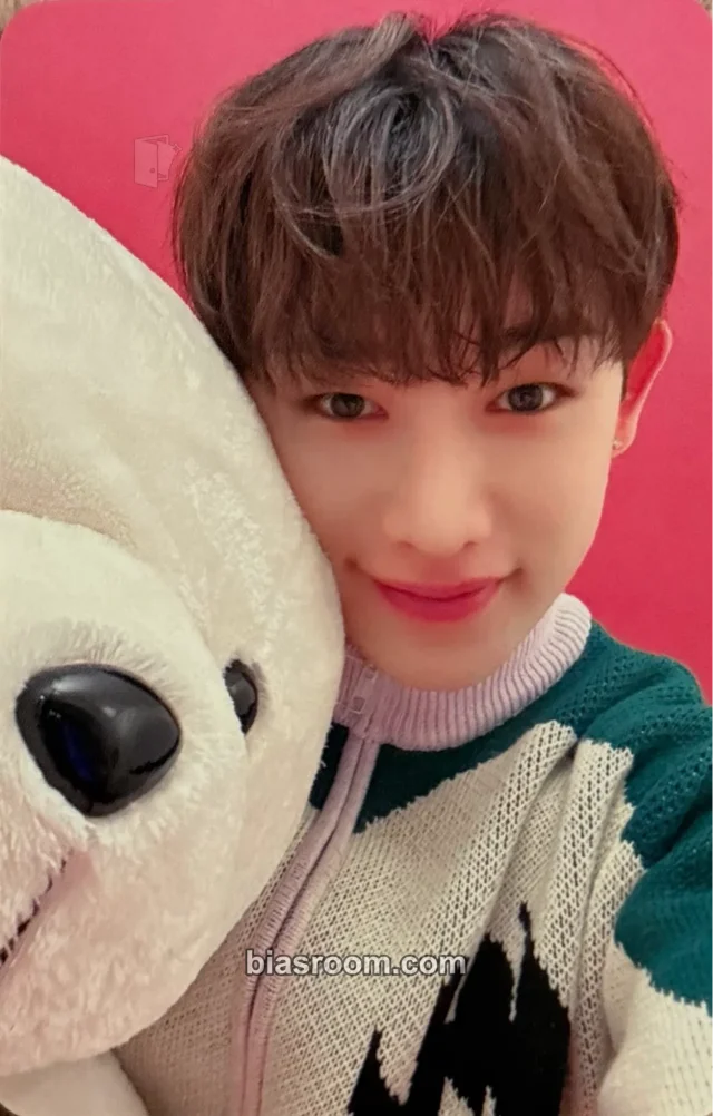 Wonho - Wonho - Everyday Christmas Event merch photocard toploader kit