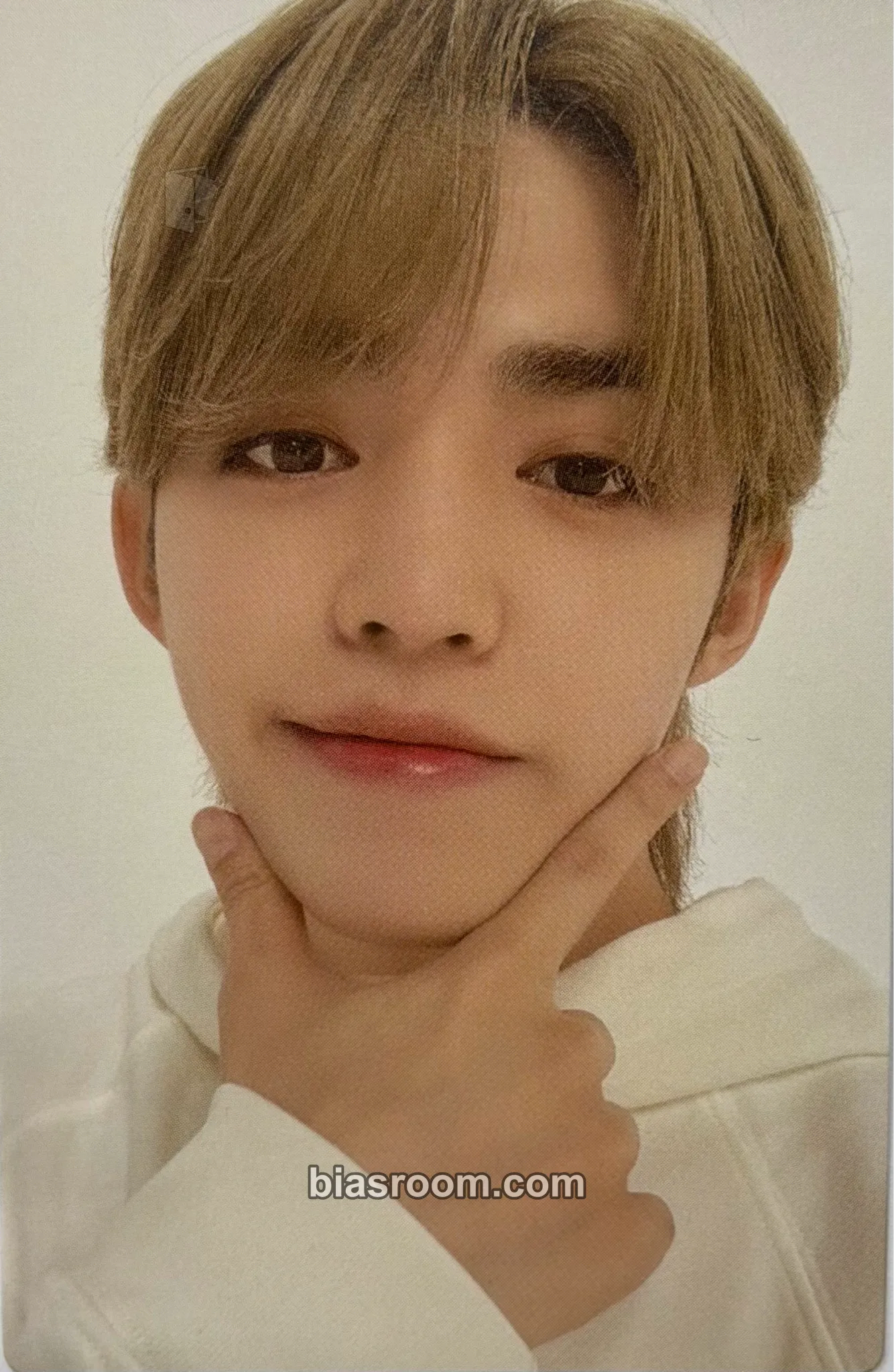 S.Coups Birthday Boxes/Merch Photocard - SEVENTEEN - SEVENTEEN K-pop photocard