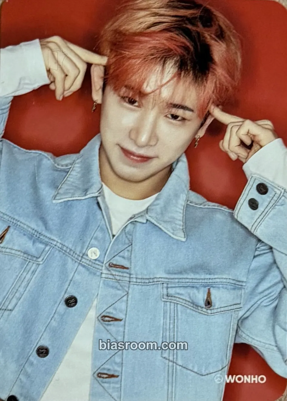 Wonho 2018 World Tour - The Connect Photocard - MONSTA X - MONSTA X K-pop photocard