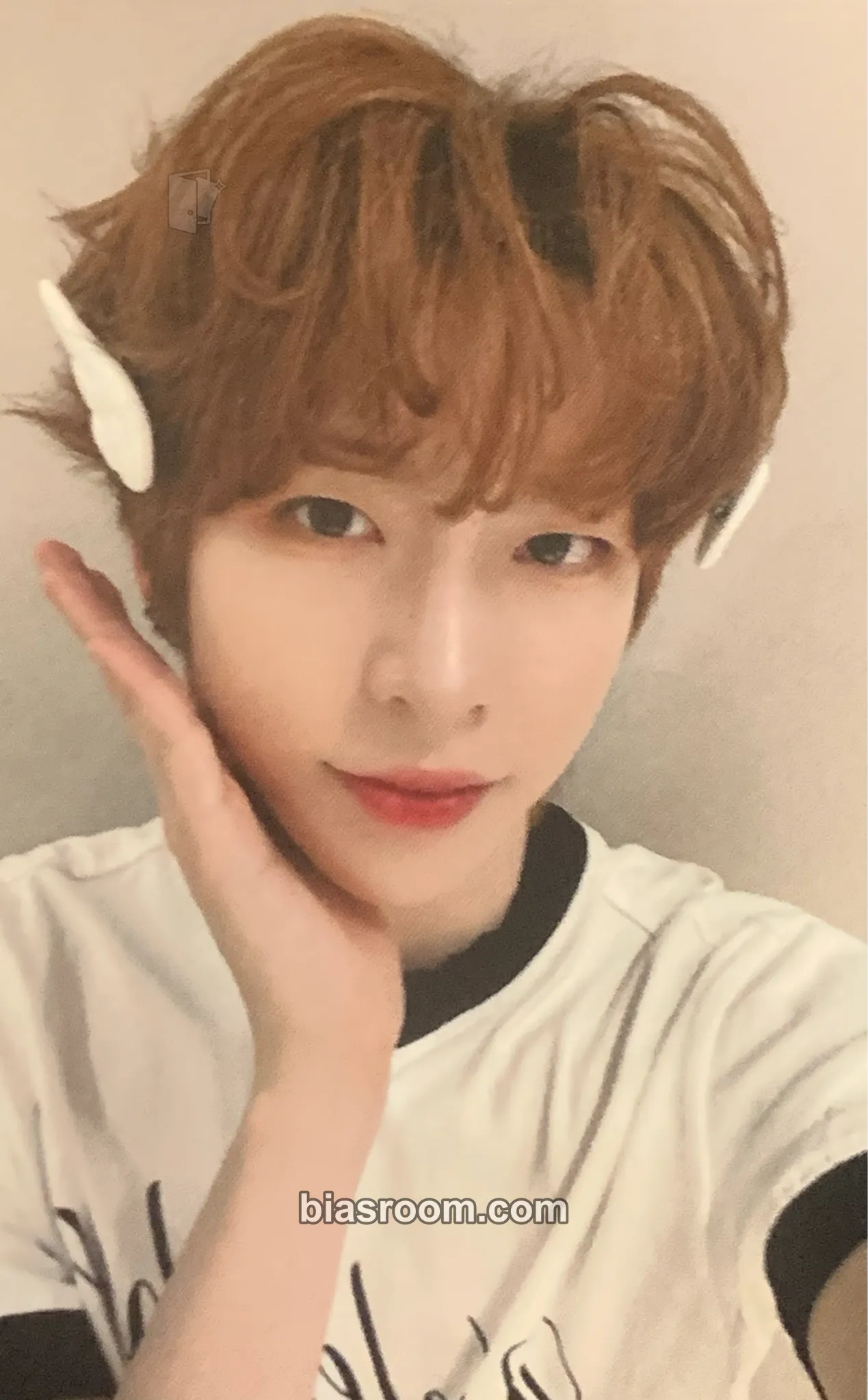Jiho WILD & FREE Photocard - AMPERS&ONE - AMPERS&ONE K-pop photocard