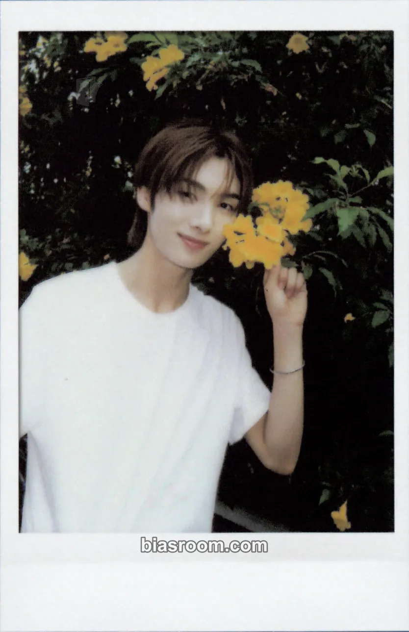 Youngjae TWS:42 Selection Pack (24-25) Photocard - TWS - TWS K-pop photocard