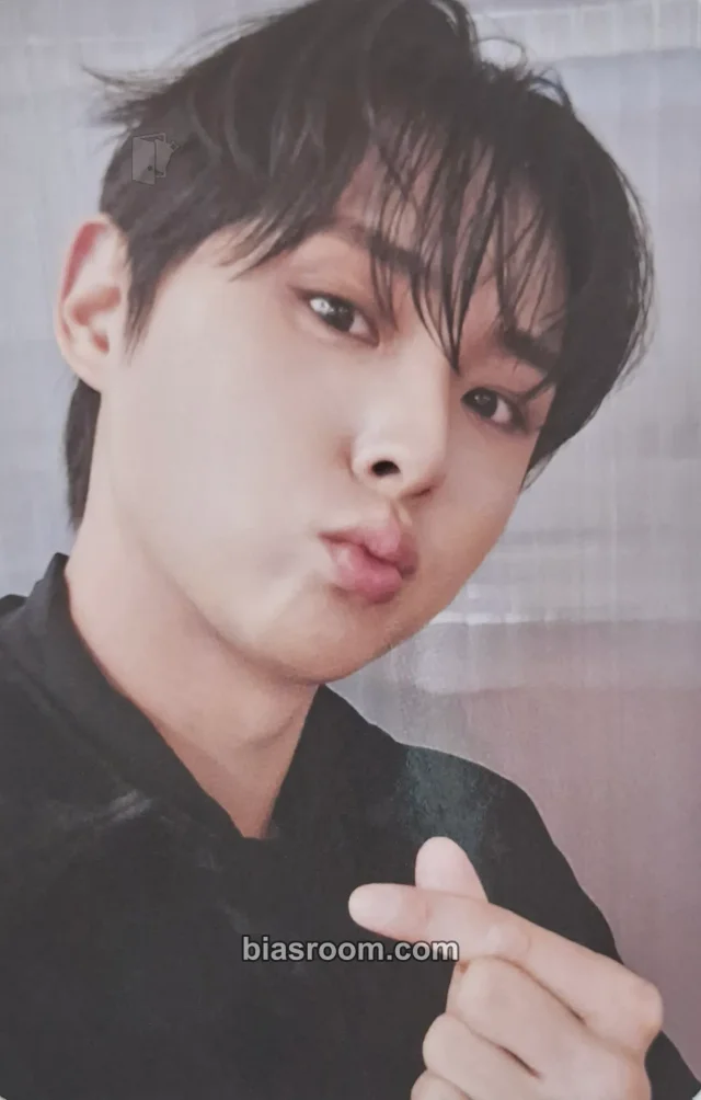 Mingyu DKZ TASTY K-pop photocard