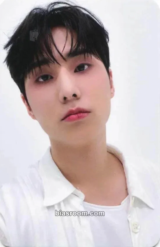 Young K Band Aid Photocard - DAY6 - DAY6 K-pop photocard