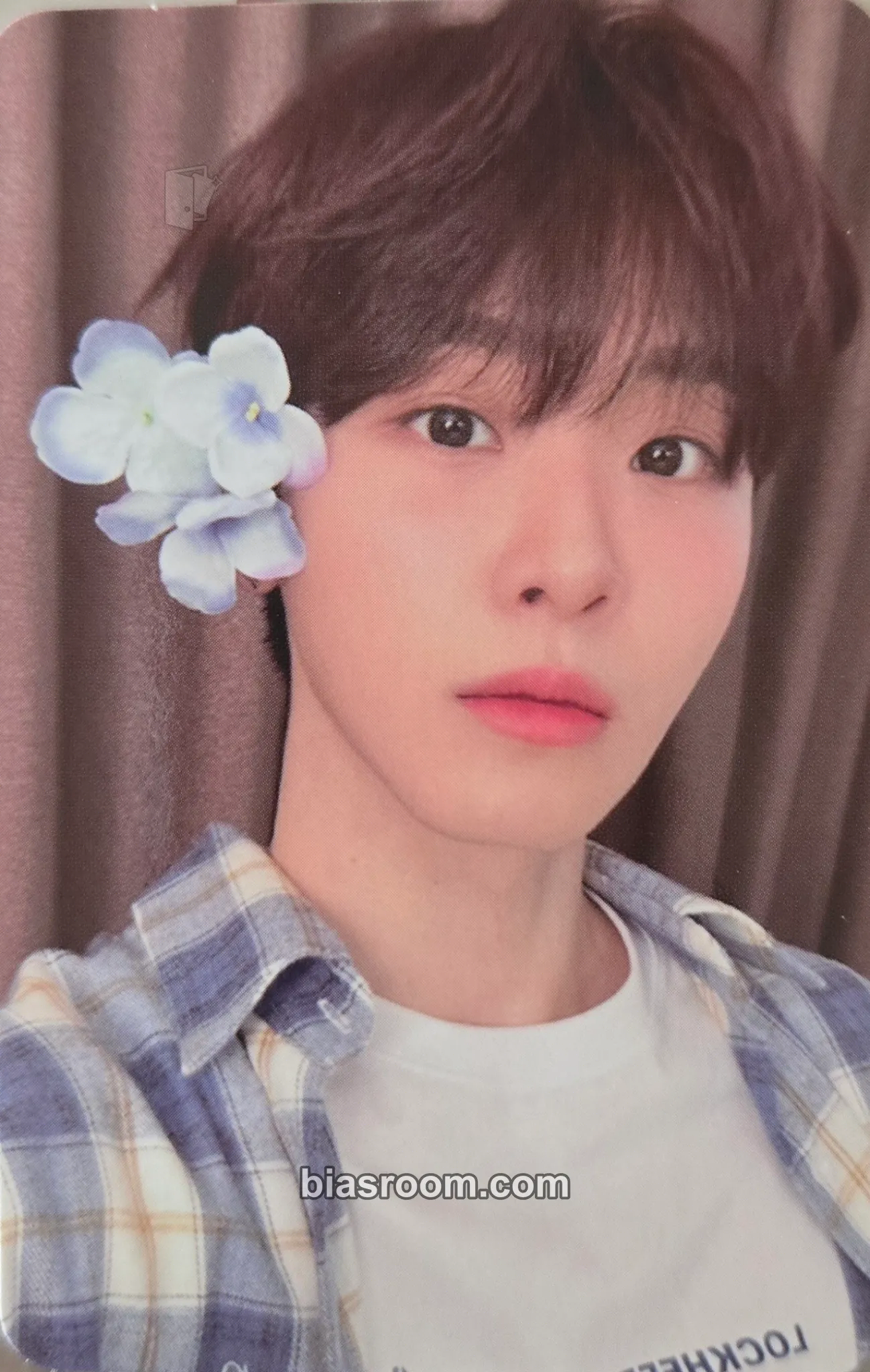 Seongmin 2024 ONE PACT ZEPP TOUR IN JAPAN: HANA Photocard - ONE PACT - ONE PACT K-pop photocard
