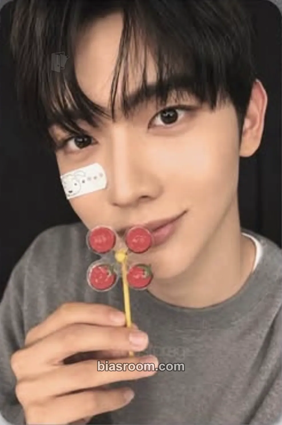 Seungeon Sequence 01: Curiosity Photocard - AND2BLE - AND2BLE K-pop photocard