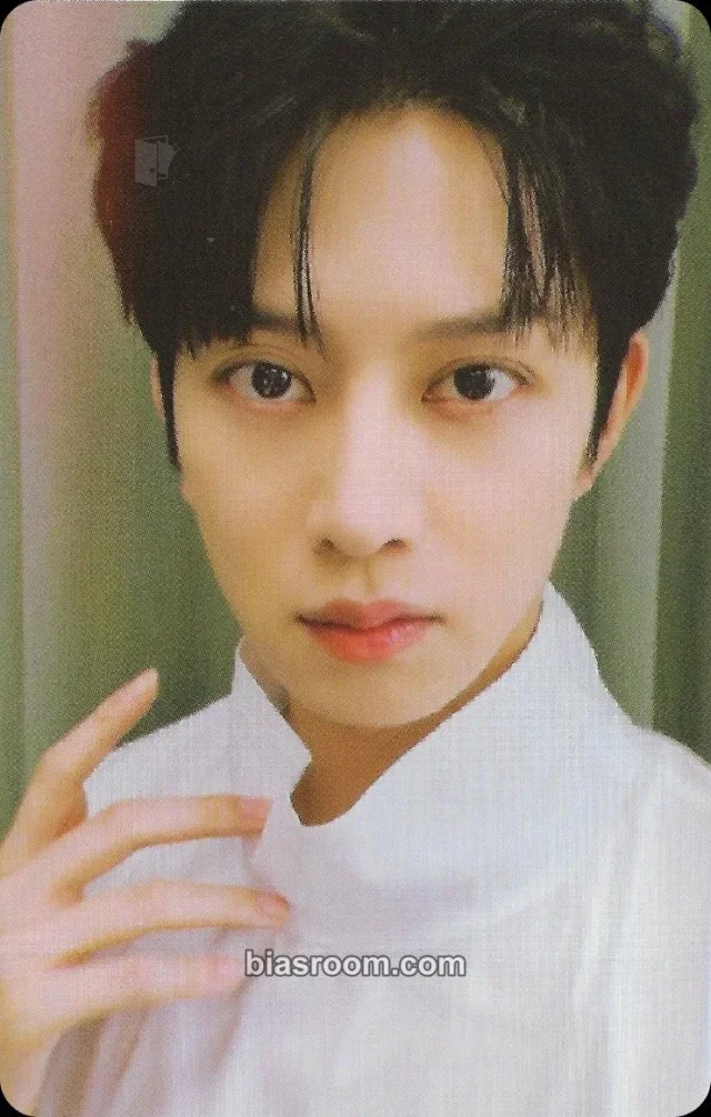 SUPER JUNIOR - Heechul - REMEMBER 15 Other photobook photocard set