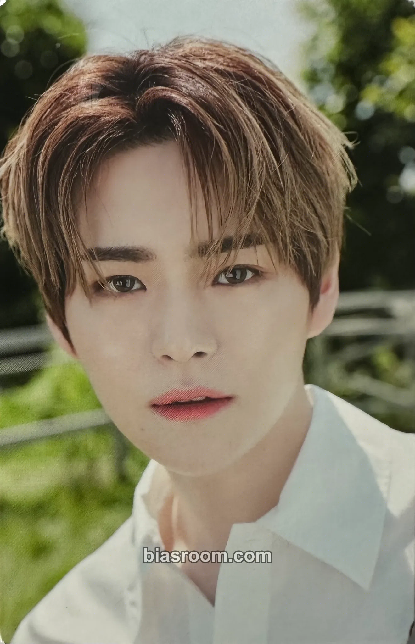 Yoshi MA:NYO x TREASURE Photocard - TREASURE - TREASURE K-pop photocard
