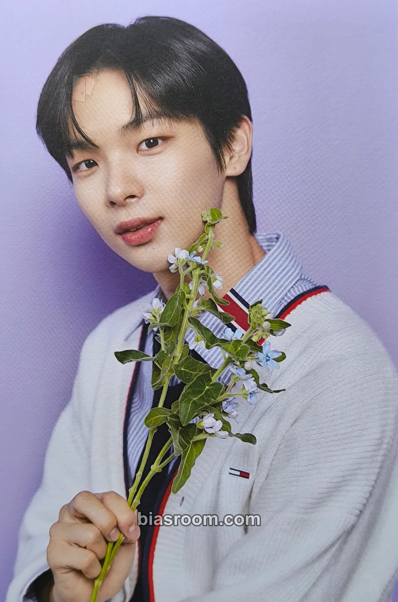 Daigo KCON Japan 2022 Photocard - TO1 - TO1 K-pop photocard