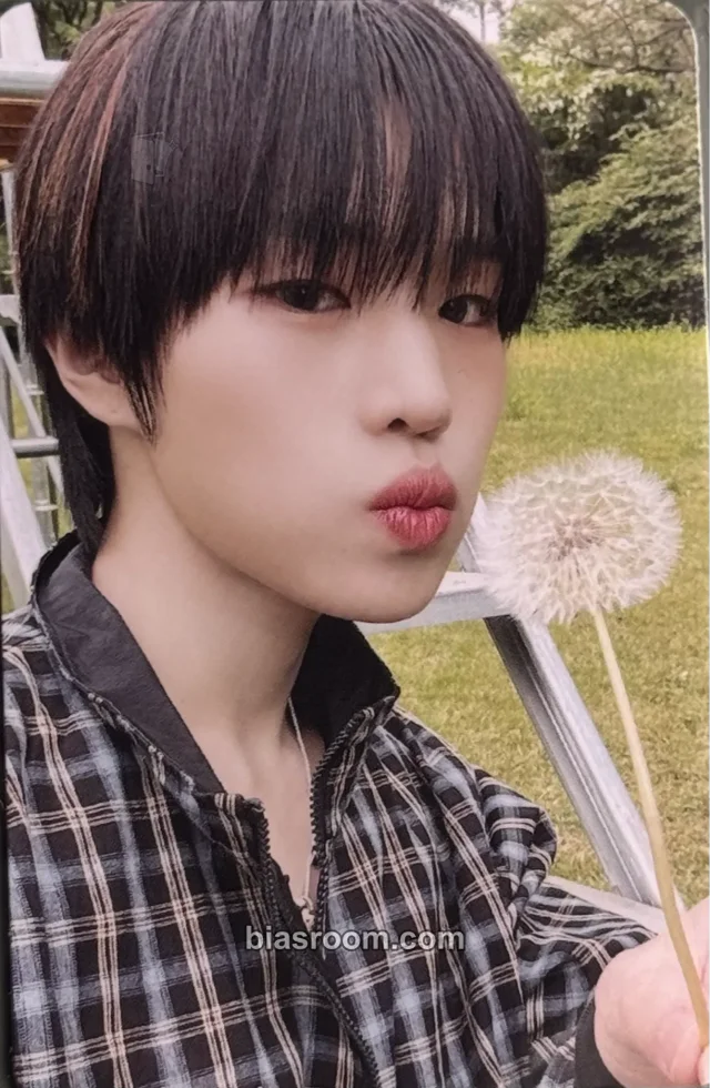 POW - Jungbin - Being Tender Album album photocard