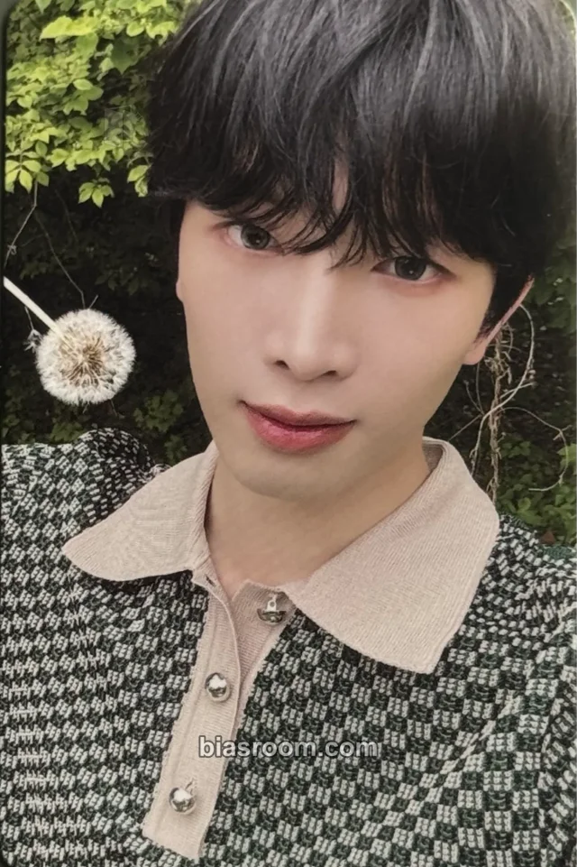 POW - Dongyeon - Being Tender Album album photocard