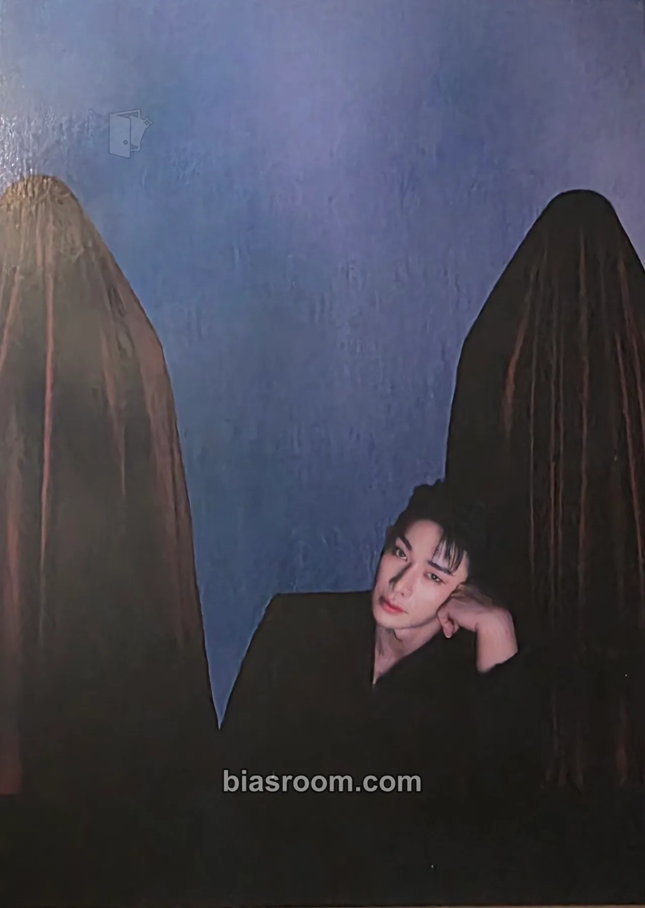 Wonho Facade Photocard - Wonho K-pop photocard