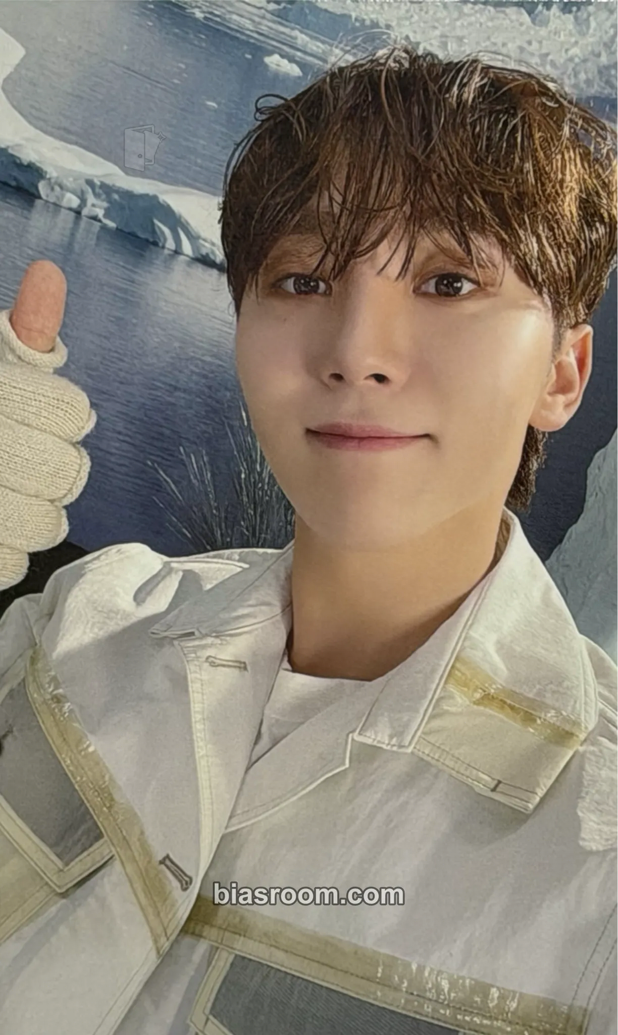 Seungkwan SECTOR 17 Photocard - SEVENTEEN - SEVENTEEN K-pop photocard