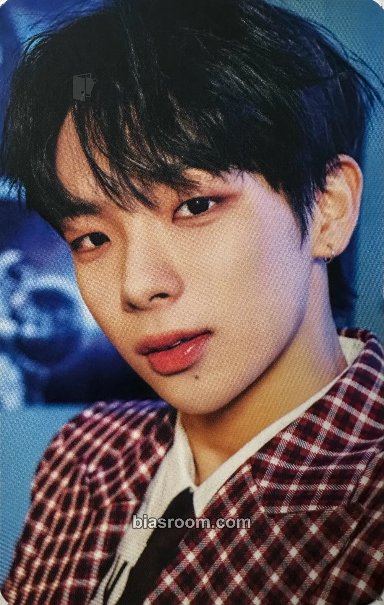 Daigo Why Not?? Photocard - TO1 - TO1 K-pop photocard