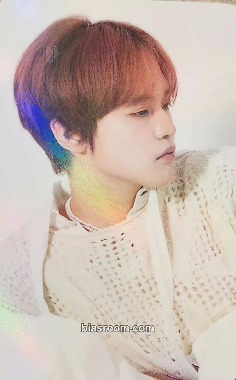Chenle 2024 Season’s Greetings Photocard - NCT DREAM - NCT DREAM K-pop photocard