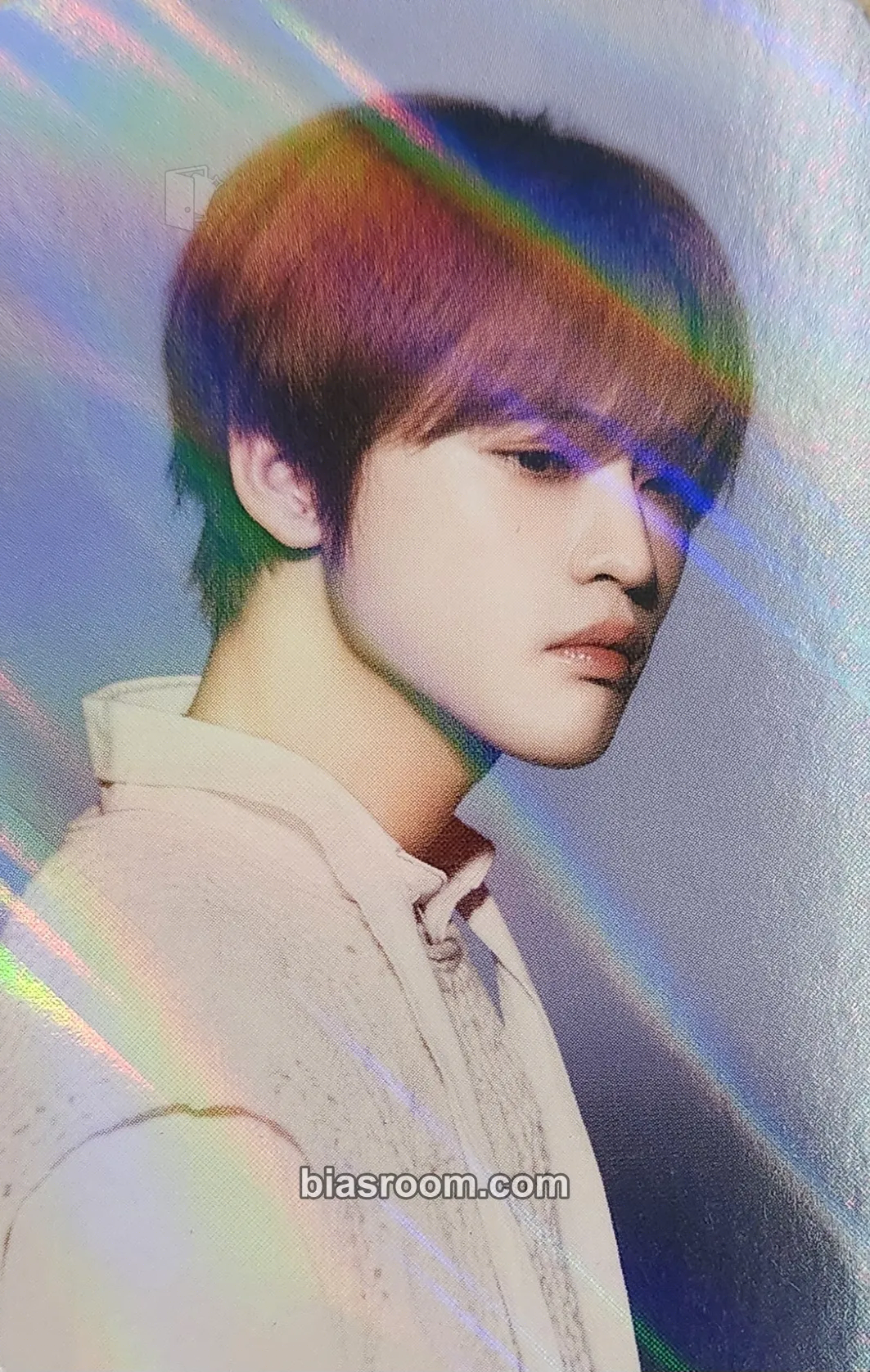 Chenle 2024 Season’s Greetings Photocard - NCT DREAM - NCT DREAM K-pop photocard