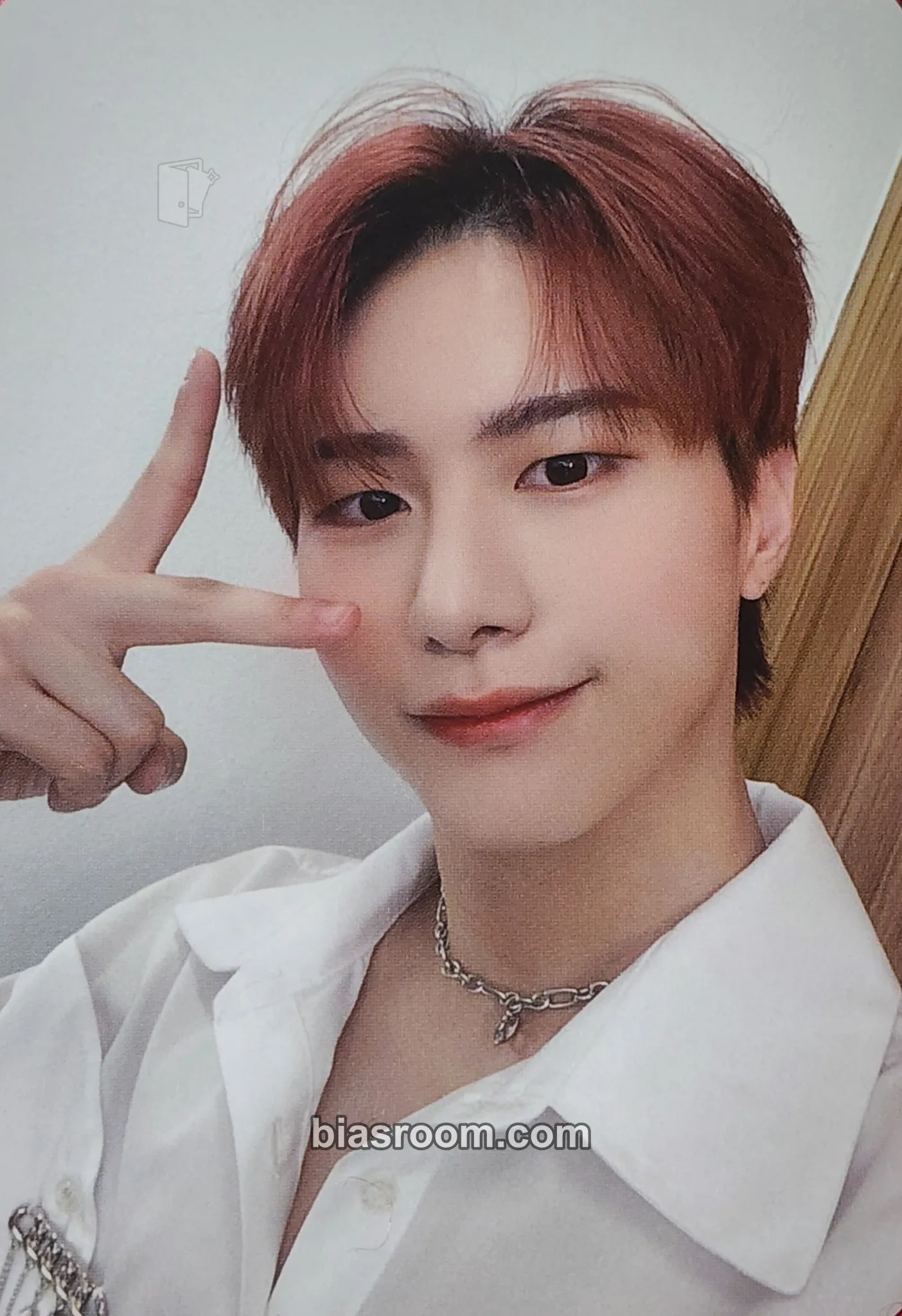Seungsik ALICE JAPAN Anniversary (1st, 2nd) Photocard - VICTON - VICTON K-pop photocard