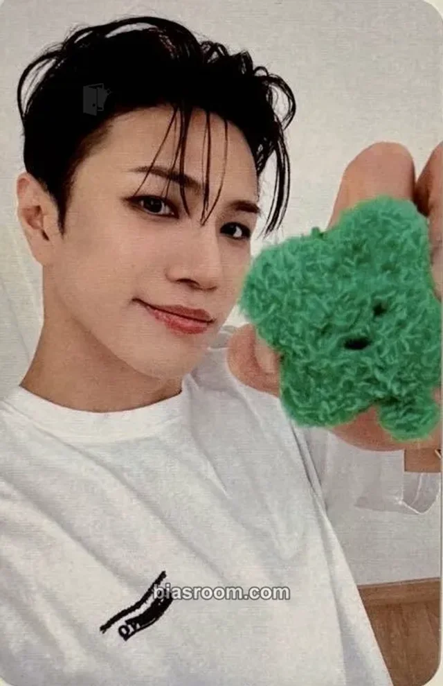 Taehwan VANNER Burn K-pop photocard