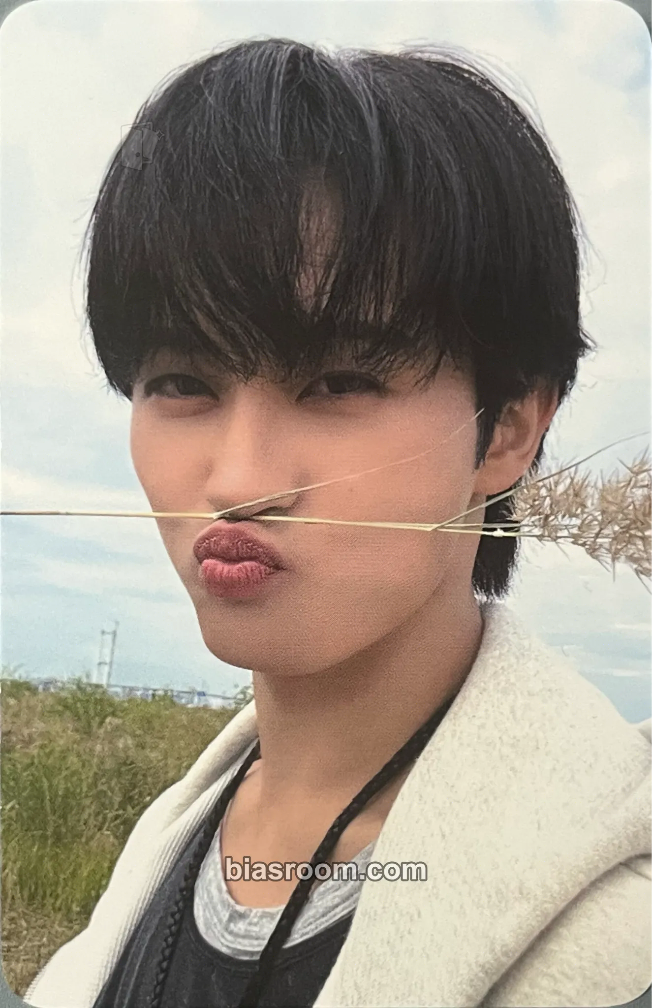Mark Beat It Up Photocard - NCT DREAM - NCT DREAM K-pop photocard