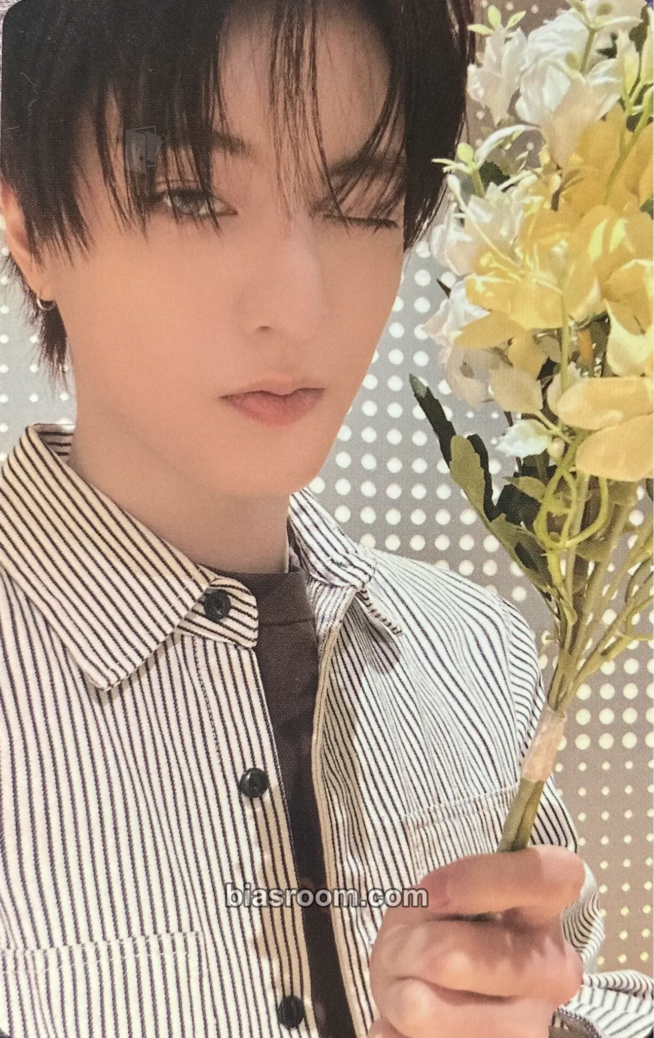 Haruto Pleasure Photocard - TREASURE - TREASURE K-pop photocard