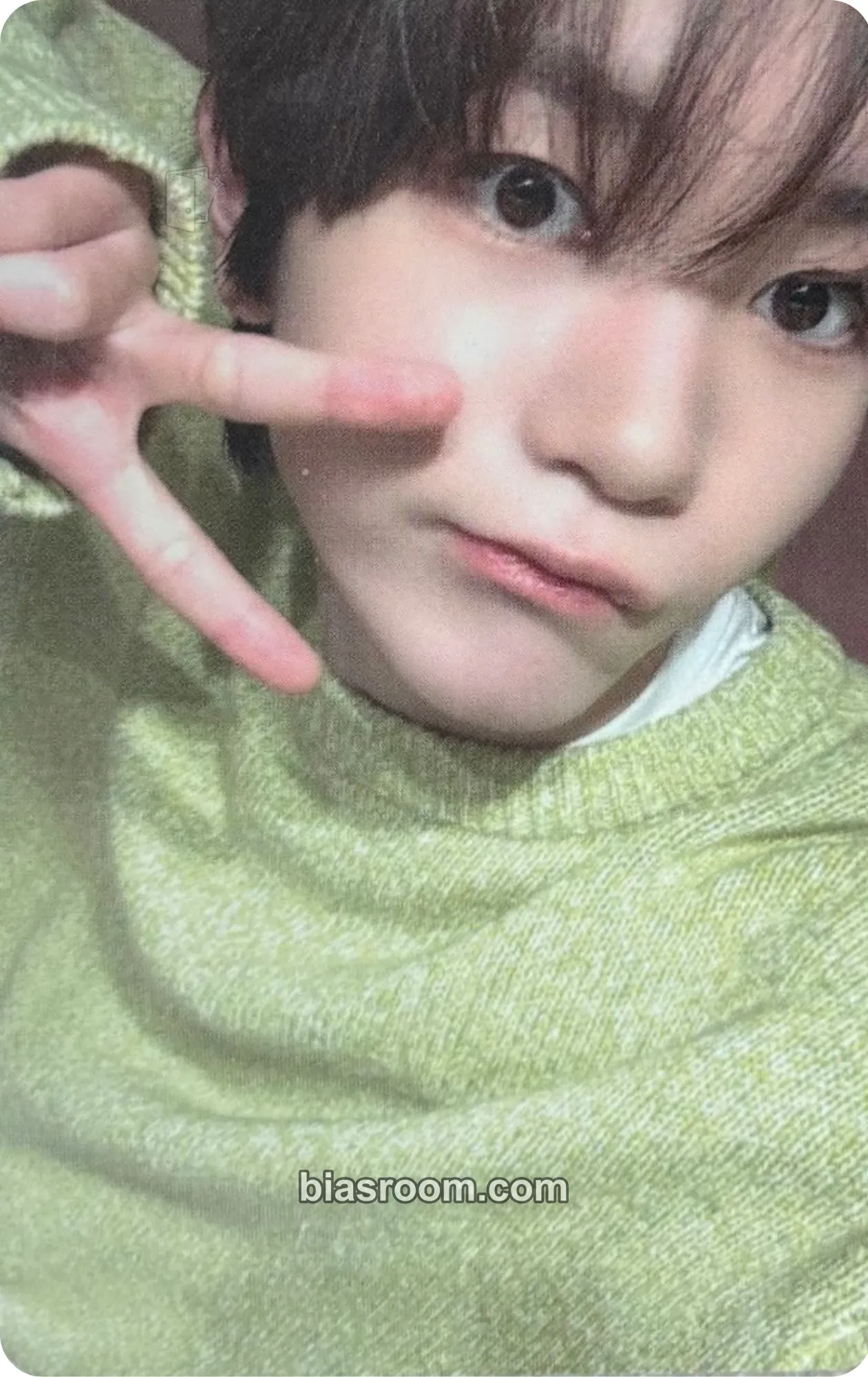 Ryo Steady Photocard - NCT WISH - NCT WISH K-pop photocard