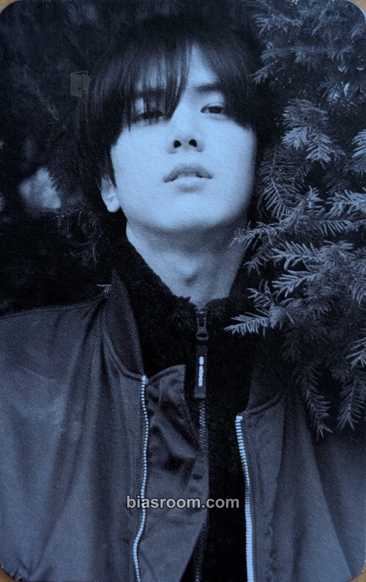 Younghoon Reveal Photocard - THE BOYZ - THE BOYZ K-pop photocard