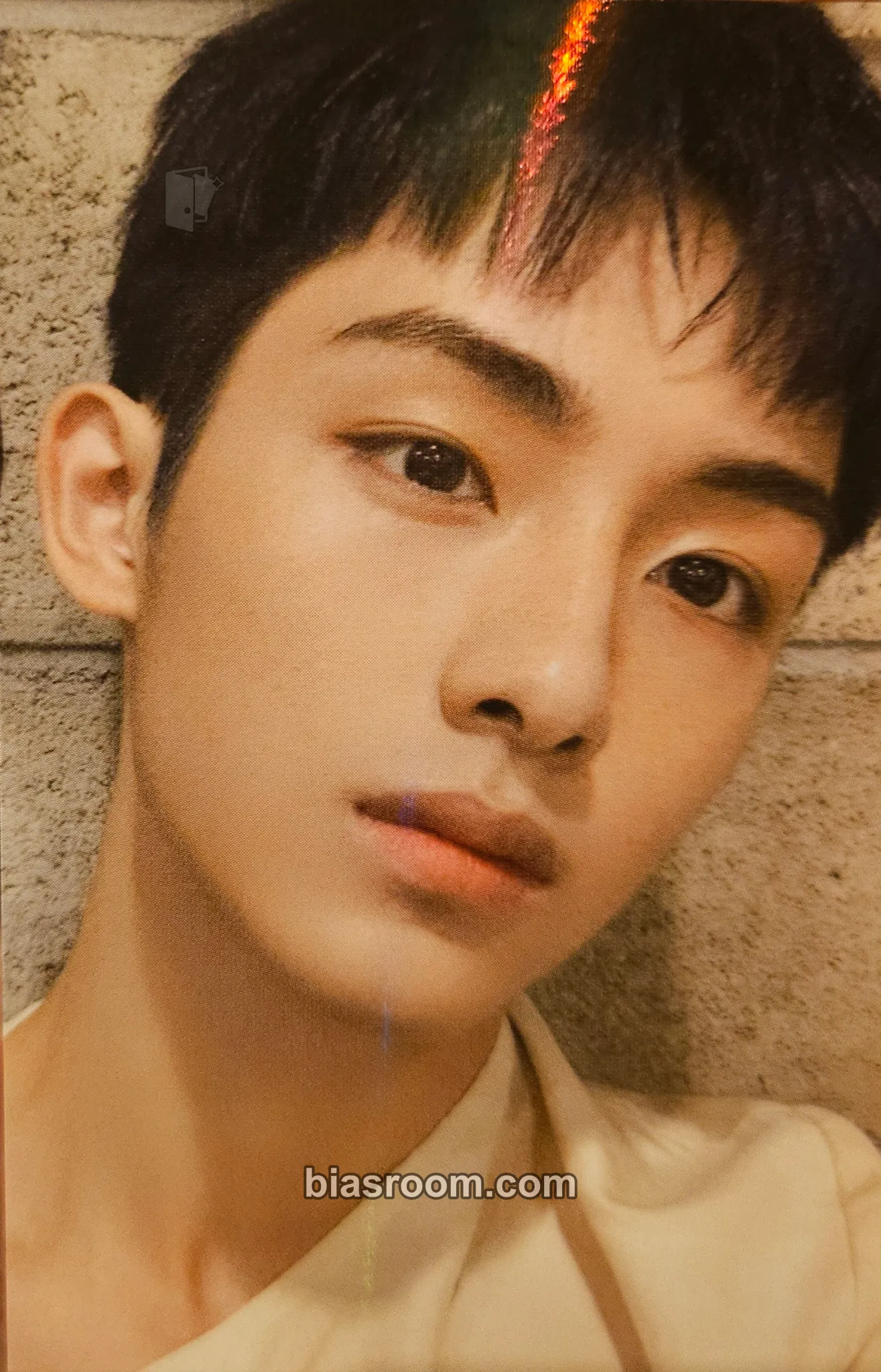 Winwin 2021 Season's Greetings Photocard - WayV - WayV K-pop photocard