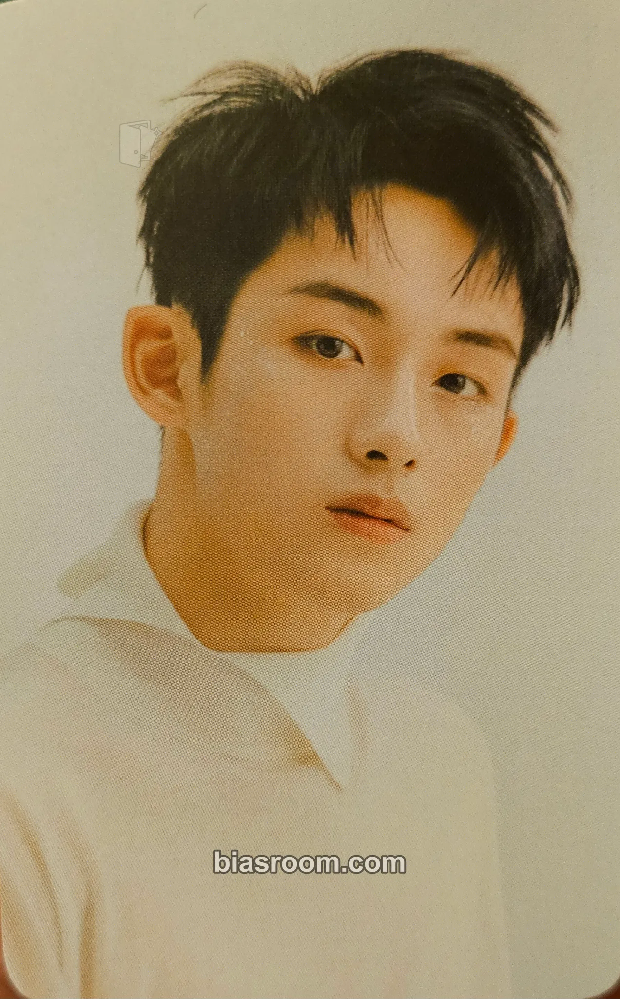 Winwin 2021 Season's Greetings Photocard - WayV - WayV K-pop photocard