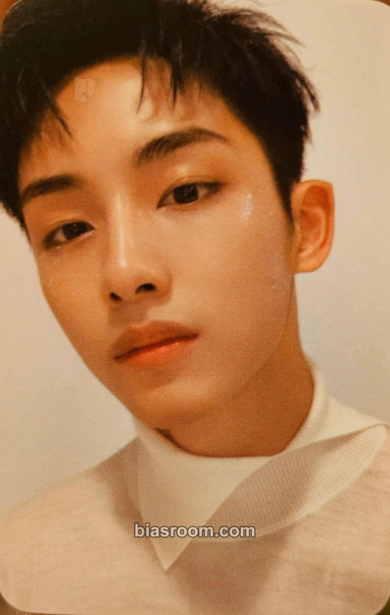 Winwin 2021 Season's Greetings Photocard - WayV - WayV K-pop photocard