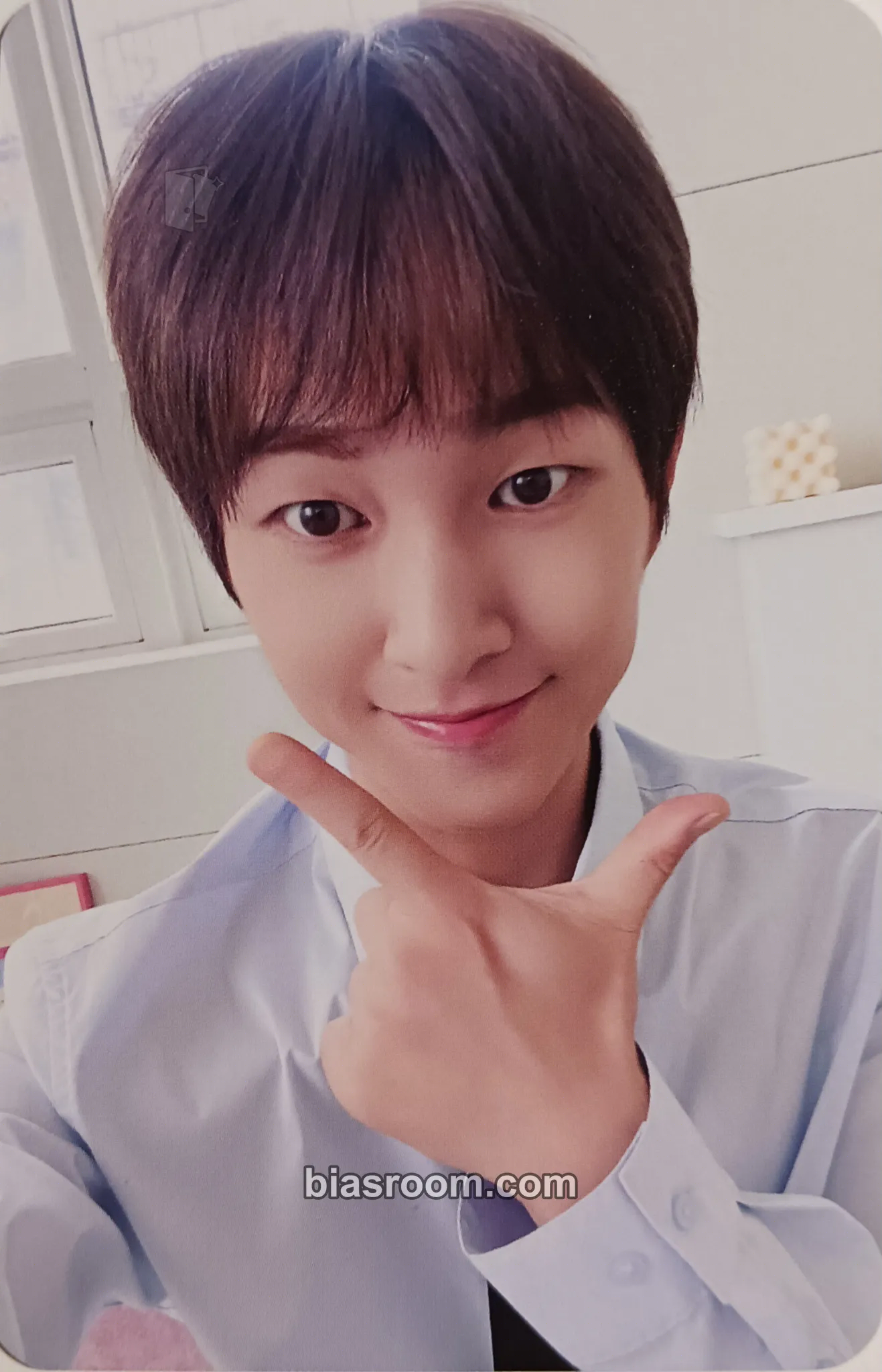 Onew PERCENT Photocard - SHINee - SHINee K-pop photocard
